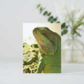 Carte Postale Dragon d'eau chinois (Debout devant)