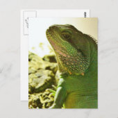 Carte Postale Dragon d'eau chinois (Devant / Derrière)