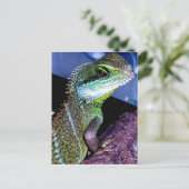 Carte Postale Dragon d'eau chinois (Debout devant)