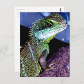 Carte Postale Dragon d'eau chinois (Devant / Derrière)