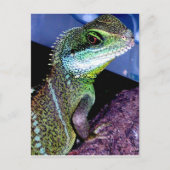 Carte Postale Dragon d'eau chinois (Devant)