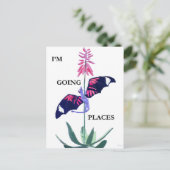 Carte Postale Dragon et Cactus (Debout devant)