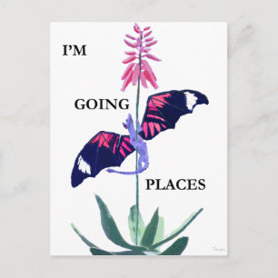 Carte Postale Dragon et Cactus