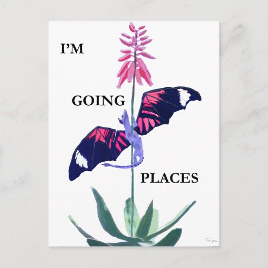 Carte Postale Dragon et Cactus (Devant)