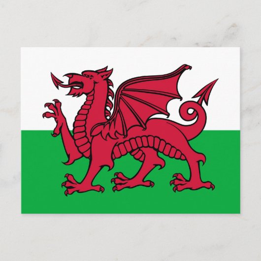 Carte Postale Dragon gallois (Devant)