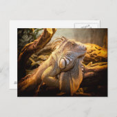 Carte Postale Dragon Iguana (Devant / Derrière)