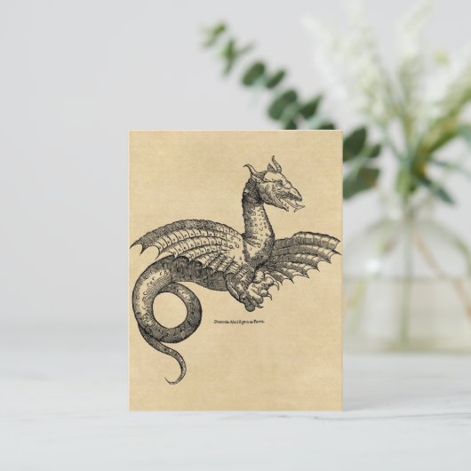 Carte postale Dragon Parchment (Debout devant)