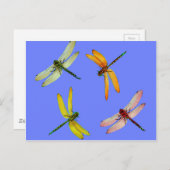 CARTE POSTALE DRAGONFLITS COLORÉS SUR BLEU (Devant / Derrière)
