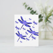 Carte Postale Dragonfly (Debout devant)