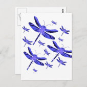 Carte Postale Dragonfly (Devant / Derrière)