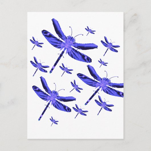 Carte Postale Dragonfly (Devant)