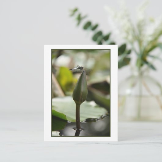 Carte postale Dragonfly (Debout devant)