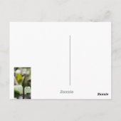 Carte postale Dragonfly (Dos)