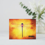 Carte postale Dragonfly (Debout devant)
