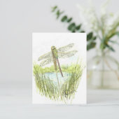 Carte postale Dragonfly (Debout devant)