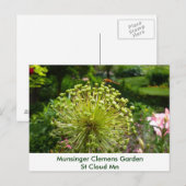 Carte Postale Dragonfly (Devant / Derrière)