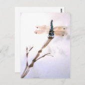 Carte postale Dragonfly (Devant / Derrière)