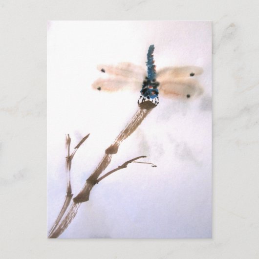 Carte postale Dragonfly (Devant)