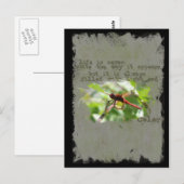 Carte postale Dragonfly (Devant / Derrière)