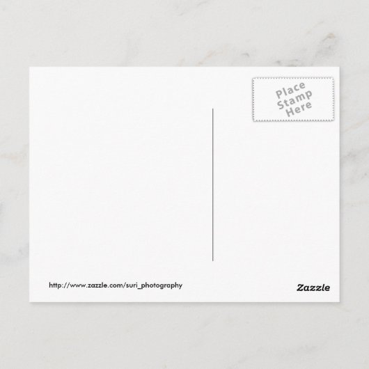 Carte postale Dragonfly (Dos)