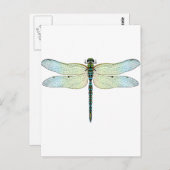 Carte Postale DragonFly (Devant / Derrière)