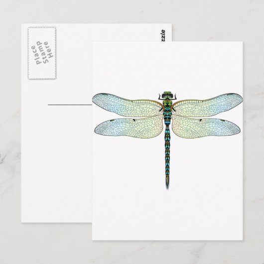 Carte Postale DragonFly (Devant / Derrière)