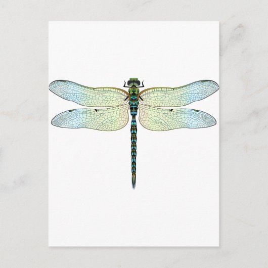 Carte Postale DragonFly (Devant)