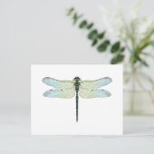 Carte Postale DragonFly (Debout devant)