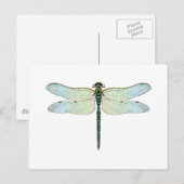 Carte Postale DragonFly (Devant / Derrière)