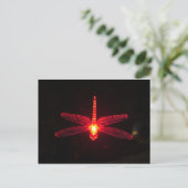 Carte Postale Dragonfly (Debout devant)