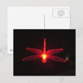 Carte Postale Dragonfly (Devant / Derrière)