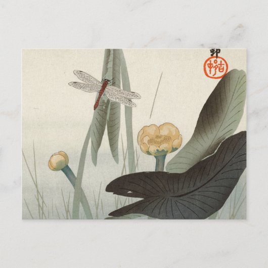 Carte Postale Dragonfly and Lotus, 1920 par Ohara Koson (Devant)