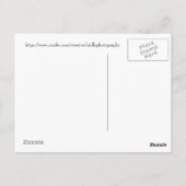 Carte Postale Dragonfly aux yeux bleus (Dos)