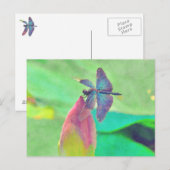 Carte Postale Dragonfly bleu Iridescente sur Nénuphar (Devant / Derrière)