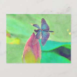 Carte Postale Dragonfly bleu Iridescente sur Nénuphar