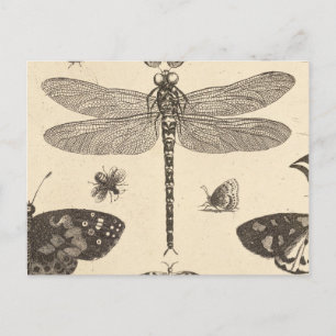 Carte Postale Dragonfly ( détail ) Art Vintage nature