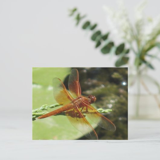 Carte Postale Dragonfly Dreams (Debout devant)
