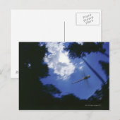 Carte Postale Dragonfly en vol, ailes de battant (Devant / Derrière)