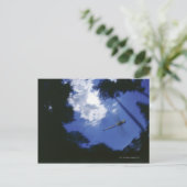 Carte Postale Dragonfly en vol, ailes de battant (Debout devant)