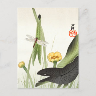 Carte Postale Dragonfly et Lotus par Ohara Koson, Art japonais,