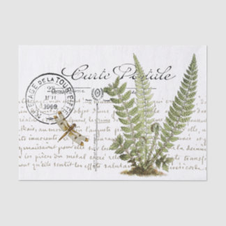 Carte Postale Dragonfly Fern Franse Manuscript Tissuepapier