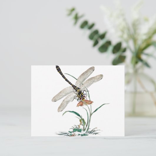 Carte Postale Dragonfly Magic (Debout devant)