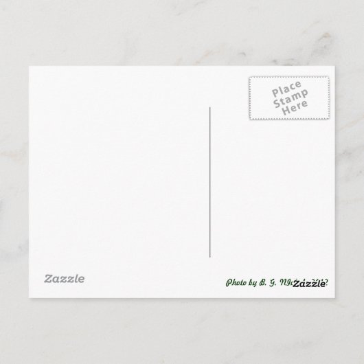 Carte Postale Dragonfly métallique (Dos)