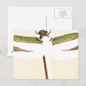 Carte Postale Dragonfly miniature sur Arrière - plan blanc (Devant / Derrière)