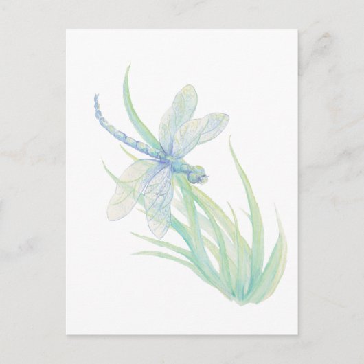 Carte Postale Dragonfly originale en bleu et vert (Devant)