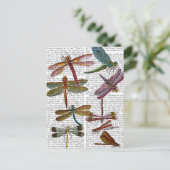Carte Postale Dragonfly Print 4 (Debout devant)