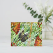 Carte Postale Dragonfly, s'envoler (Debout devant)