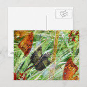 Carte Postale Dragonfly, s'envoler (Devant / Derrière)