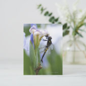 Carte Postale Dragonfly sur iris (Debout devant)