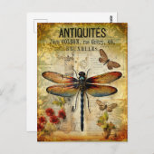 Carte Postale Dragonfly vintage (Devant / Derrière)